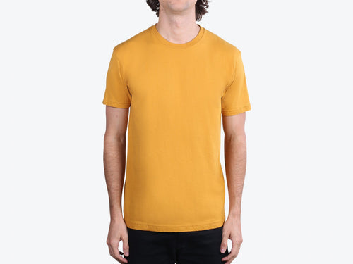 Next Level 3600 Antique Gold Single Color