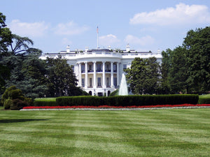 The White House: Learn About the Executive Branch of Government