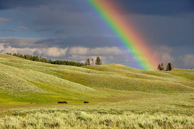 A Kid's Guide to the Science Behind Rainbows | What Causes a Rainbow