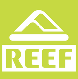 Reef Stickers WP Custom Brand Store Sticker Mule Reef Evening Primrose Square - 3in 
