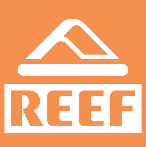 Reef Stickers WP Custom Brand Store Sticker Mule Reef Orange Square - 3in 
